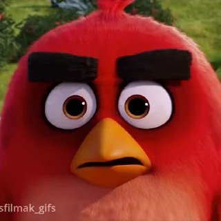 Стикер 11 из набора «Angry birds @freetopsticker»