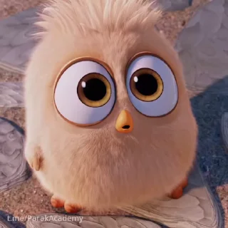 Стикер 14 из набора «Angry birds @freetopsticker»