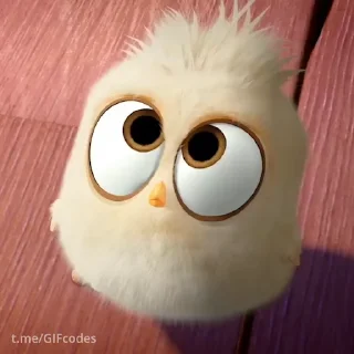 Стикер 16 из набора «Angry birds @freetopsticker»