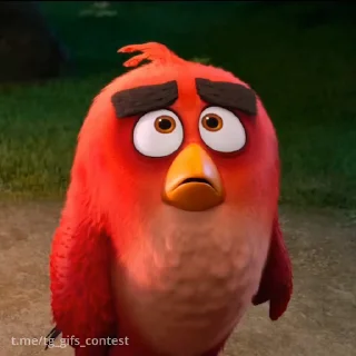 Стикер 5 из набора «Angry birds @freetopsticker»