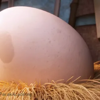 Стикер 6 из набора «Angry birds @freetopsticker»