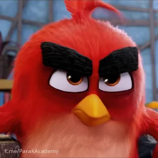 Стикер 7 из набора «Angry birds @freetopsticker»