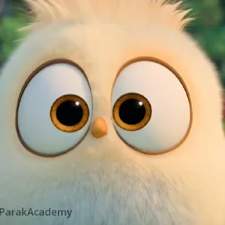 Стикер 8 из набора «Angry birds @freetopsticker»