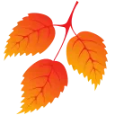 Стикер 11 из набора «Autumn 🍁 @Sticker_Awwww»