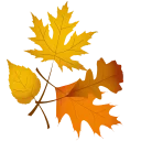 Стикер 12 из набора «Autumn 🍁 @Sticker_Awwww»