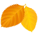 Стикер 5 из набора «Autumn 🍁 @Sticker_Awwww»