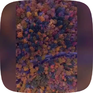 Стикер 2 из набора «Autumn @stickersb2b»