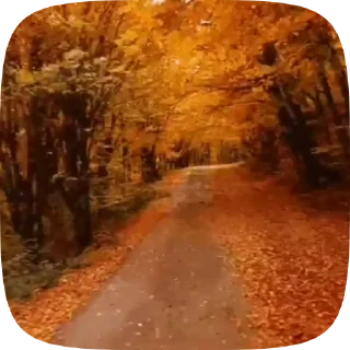 Стикер 12 из набора «Autumn @stickersb2b»