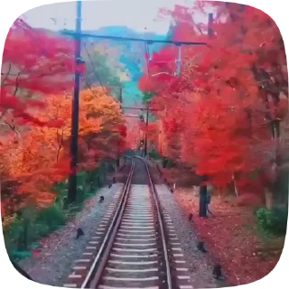 Стикер 15 из набора «Autumn @stickersb2b»
