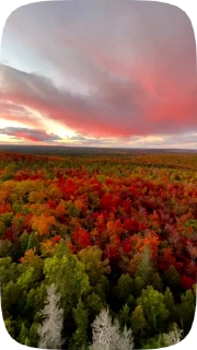 Стикер 19 из набора «Autumn @stickersb2b»