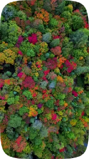Стикер 20 из набора «Autumn @stickersb2b»
