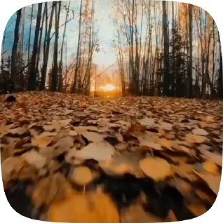 Стикер 8 из набора «Autumn @stickersb2b»