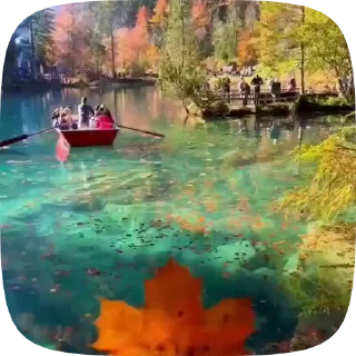 Стикер 9 из набора «Autumn @stickersb2b»