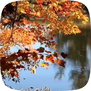 Стикер 10 из набора «Autumn @stickersb2b»