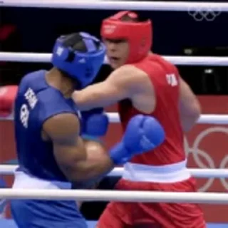 Стикер 10 из набора «Boxing @stickersb2b»