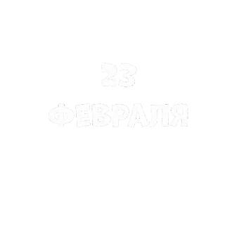 Стикер 9 из набора «С 23 Февраля ⭐️ by @Gifstiki»