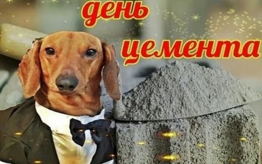 Стикер 1 из набора «С днем ...»