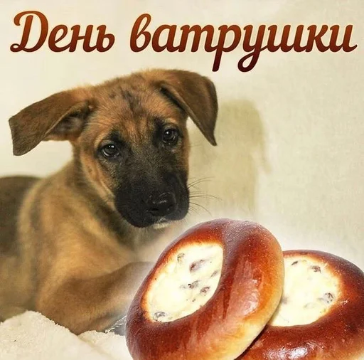 Стикер 2 из набора «С днем ...»