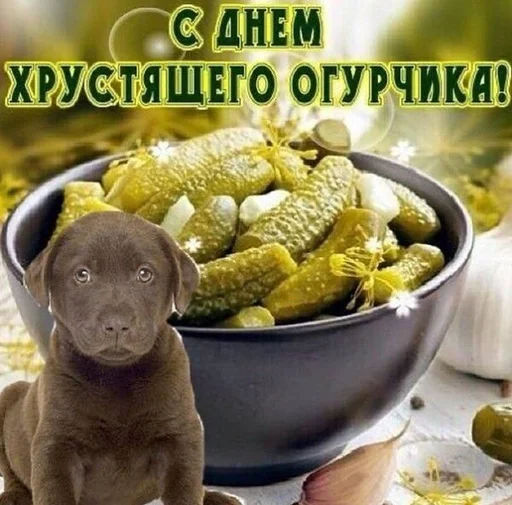 Стикер 13 из набора «С днем ...»