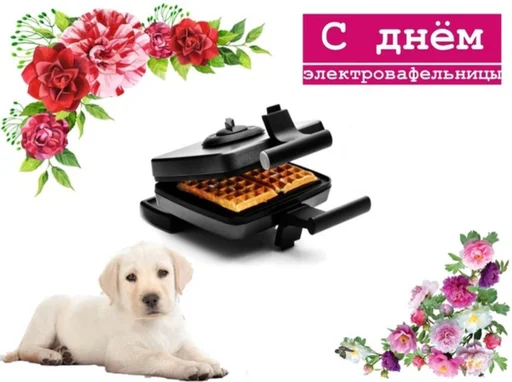 Стикер 15 из набора «С днем ...»