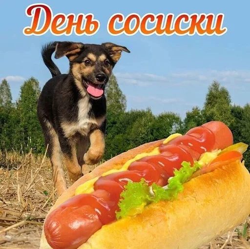 Стикер 5 из набора «С днем ...»