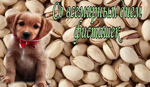 Стикер 10 из набора «С днем ...»