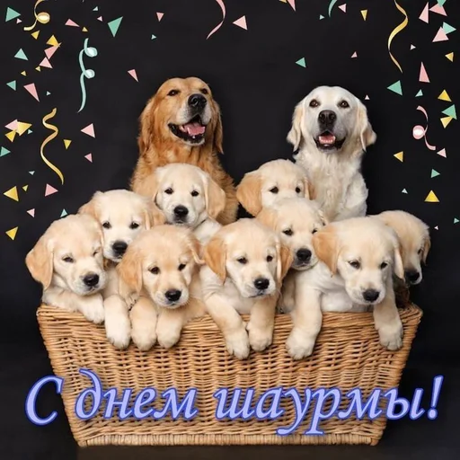 Стикер 12 из набора «С днём | by @uffchat»