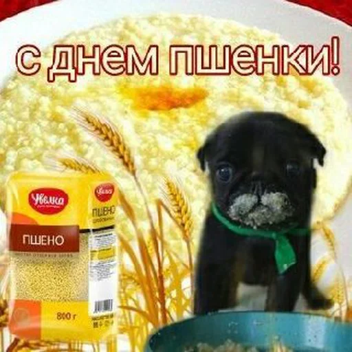 Стикер 15 из набора «С днём | by @uffchat»
