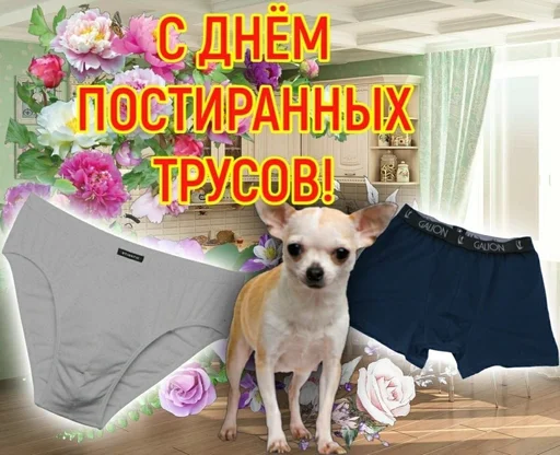 Стикер 16 из набора «С днём | by @uffchat»