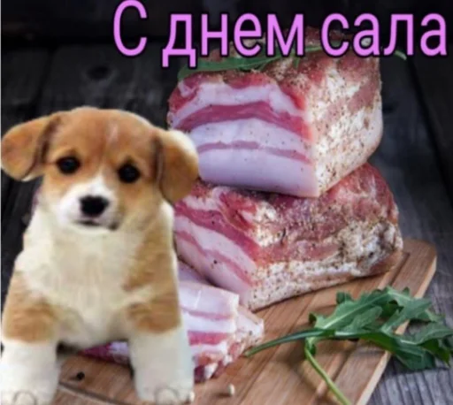 Стикер 18 из набора «С днём | by @uffchat»