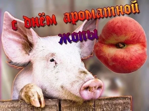 Стикер 8 из набора «С днём | by @uffchat»