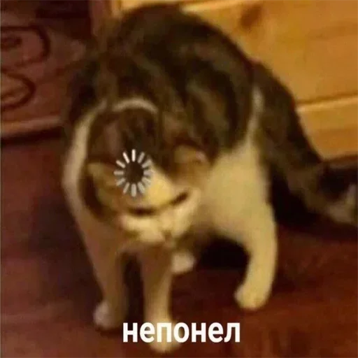 Стикер 12 из набора «Стикеры одинокой бабули @feeling_goddess»