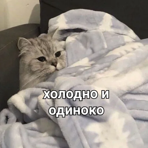 Стикер 13 из набора «Стикеры одинокой бабули @feeling_goddess»