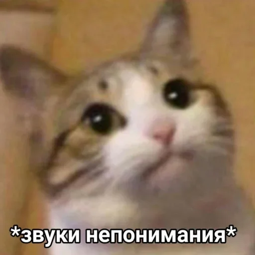 Стикер 16 из набора «Стикеры одинокой бабули @feeling_goddess»