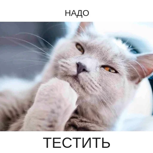 Стикер 17 из набора «Стикеры одинокой бабули @feeling_goddess»