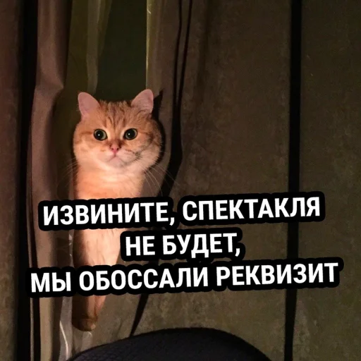 Стикер 18 из набора «Стикеры одинокой бабули @feeling_goddess»