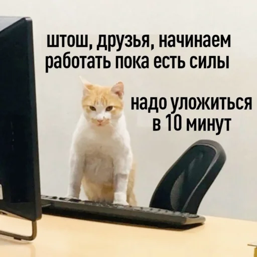 Стикер 19 из набора «Стикеры одинокой бабули @feeling_goddess»