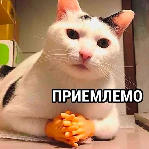 Стикер 20 из набора «Стикеры одинокой бабули @feeling_goddess»