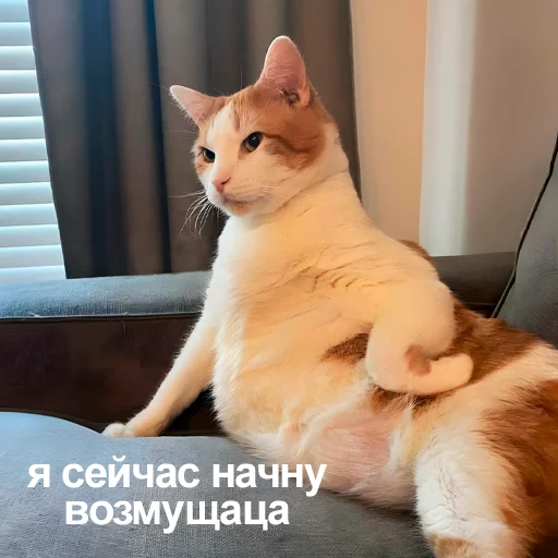 Стикер 6 из набора «Стикеры одинокой бабули @feeling_goddess»