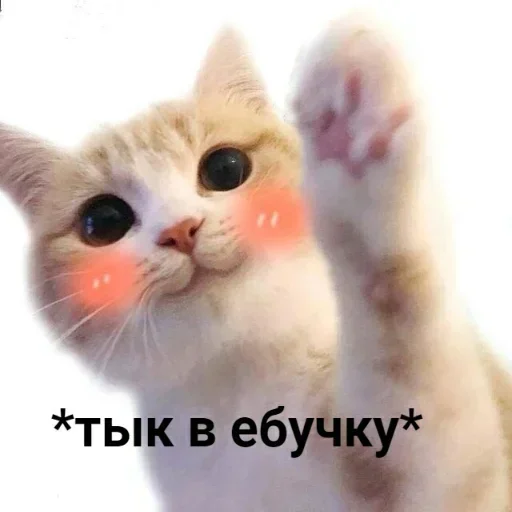 Стикер 7 из набора «Стикеры одинокой бабули @feeling_goddess»
