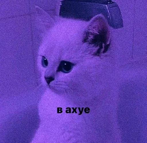 Стикер 8 из набора «Стикеры одинокой бабули @feeling_goddess»