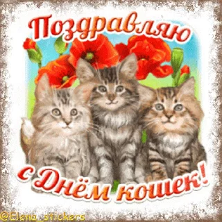 Стикер 15 из набора «@Elena_stickers Праздники августа, кроме Спасов»