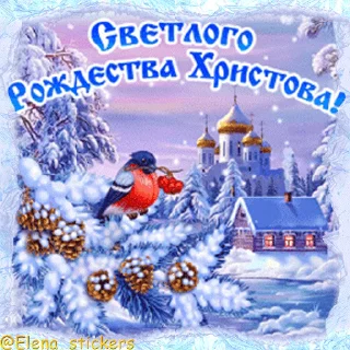 Стикер 12 из набора «Праздники января @Elena_stickers»