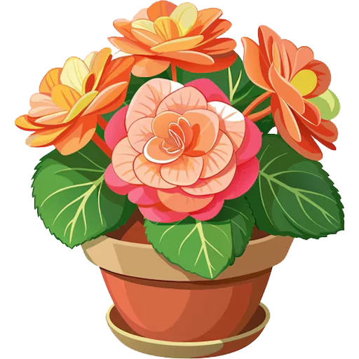 Стикер 1 из набора «House Plants @PunjabiSticker»