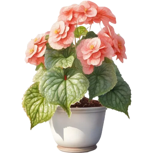 Стикер 20 из набора «House Plants @PunjabiSticker»