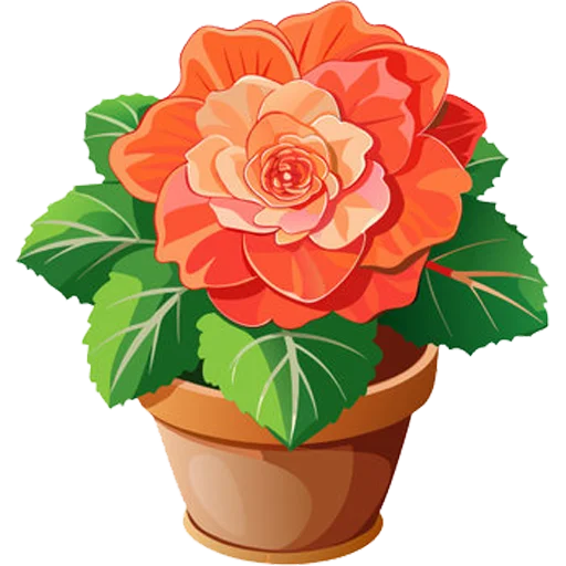 Стикер 3 из набора «House Plants @PunjabiSticker»