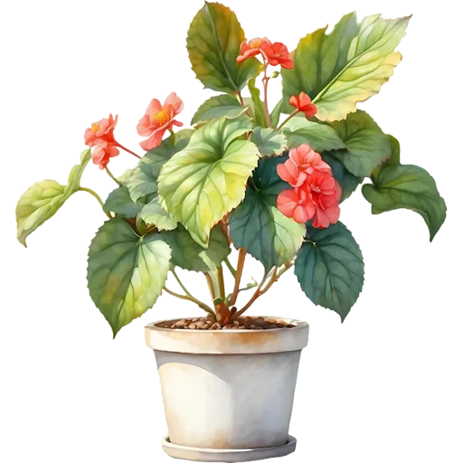 Стикер 8 из набора «House Plants @PunjabiSticker»