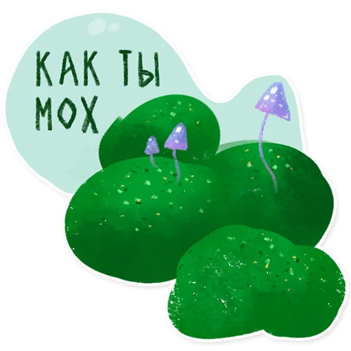 Стикер 13 из набора «Лесок @nkudrayv»