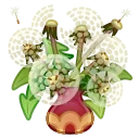 Стикер 13 из набора «Lush Bouquet @podarkitgnft»