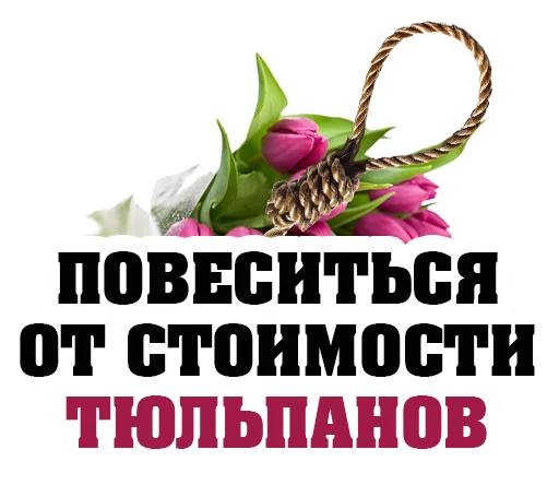 Стикер 13 из набора «March8 @stickersb2b»